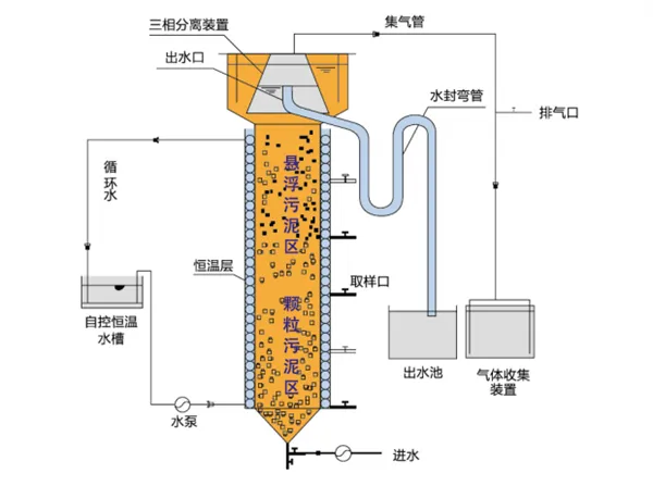 UASB反應(yīng)器